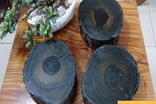 Gỗ mun đen cũng thuộc danh sách các loại gỗ làm tẩu thuốc